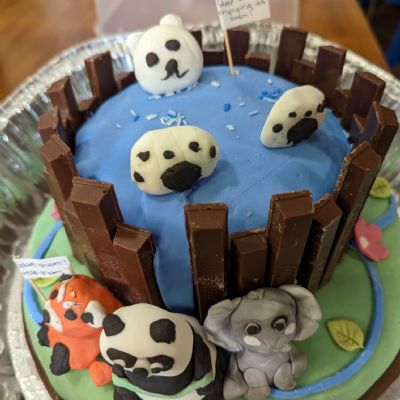 ClimatemonthcakecompetitionFeb202315)