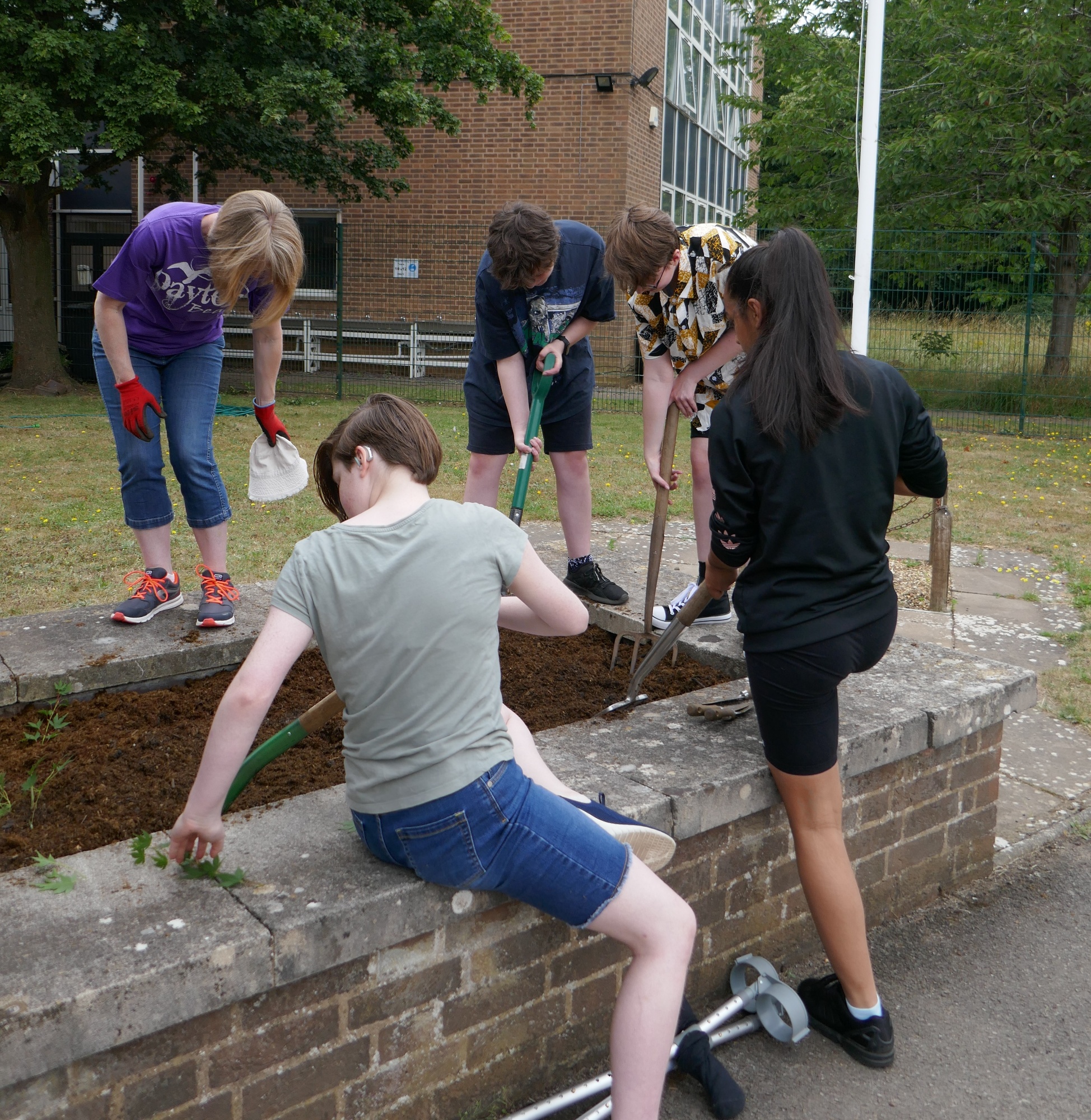 Planting up the flower border