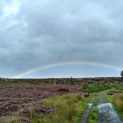 3-EilidhCowe-8S-Rainbowovertheheather