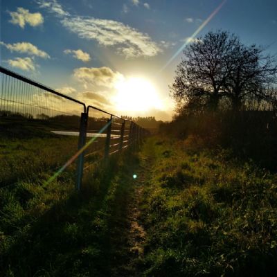 HollyWeston13C-TheThingbetweenMotherNatureandSunismadebyMan