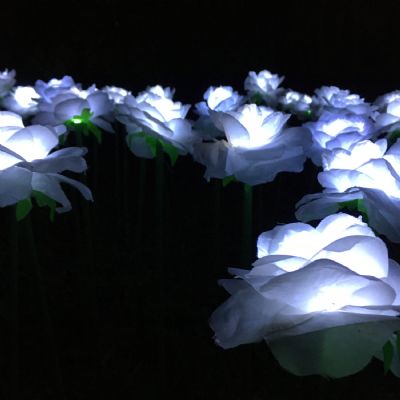 1ElizabethHooton11SLightsinthedark