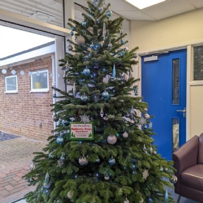 Christmas tree in reception Dec 2022