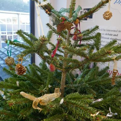 Christmas tree in corridor Dec 2022