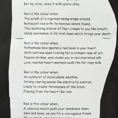 Red Shoes poetry competition 2023 Entry 7