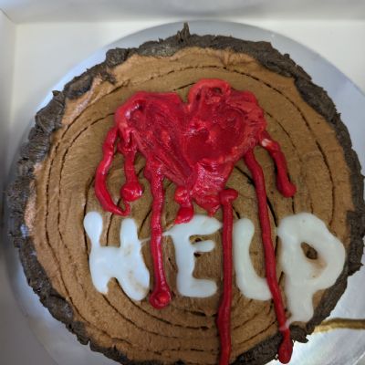 ClimatemonthcakecompetitionFeb202312)