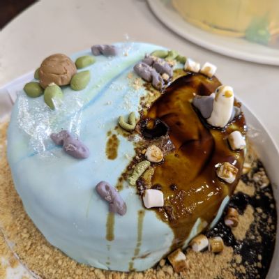 ClimatemonthcakesaleFeb20233)