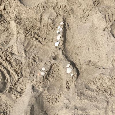 FranceIceCreamandBeachJuly20237)